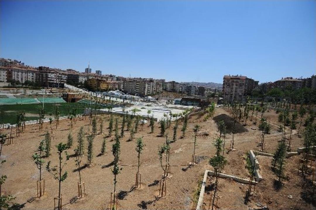 Dikmen Vadisi&rsquo;ne Kardeş Geliyor