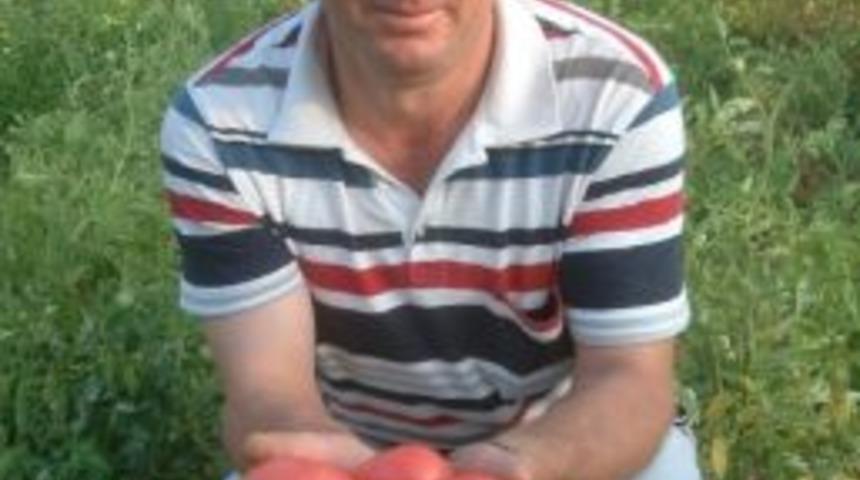 Bu Domatesler Satılmıyor