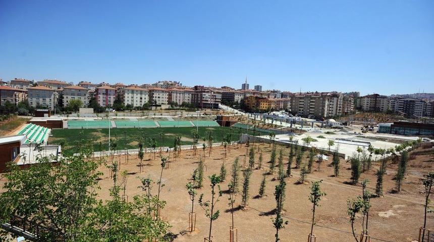 Dekmin Vadisi'ne Kardeş Geliyor