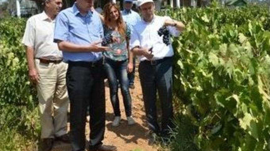 G&uuml;ldal, Menderesli &Uuml;reticilerle Bir Araya Geldi