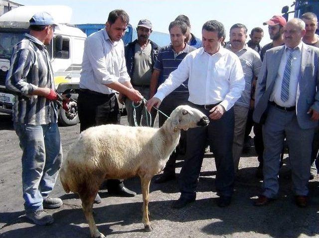 Yeni Çeltek Kömür İşletmesi Yeni Sezonu Dualarla Açtı