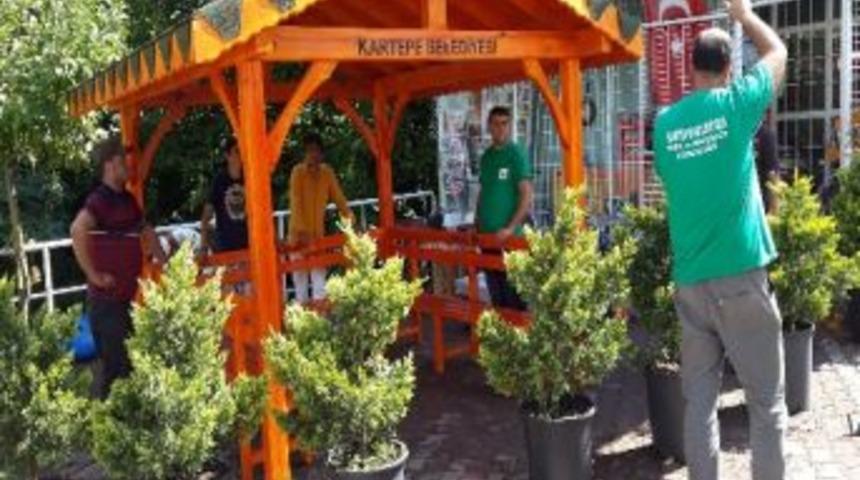 Maşukiye Yeni Camiye Kamelya Kondu