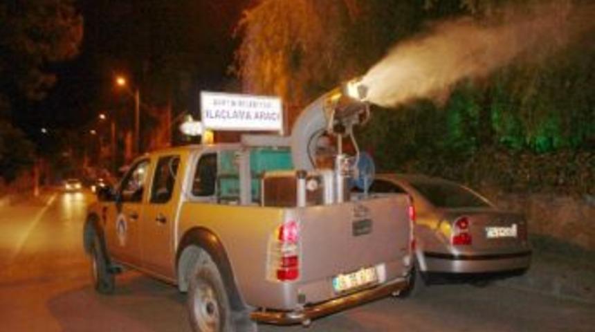 Sinekle M&uuml;cadele Devam Ediyor