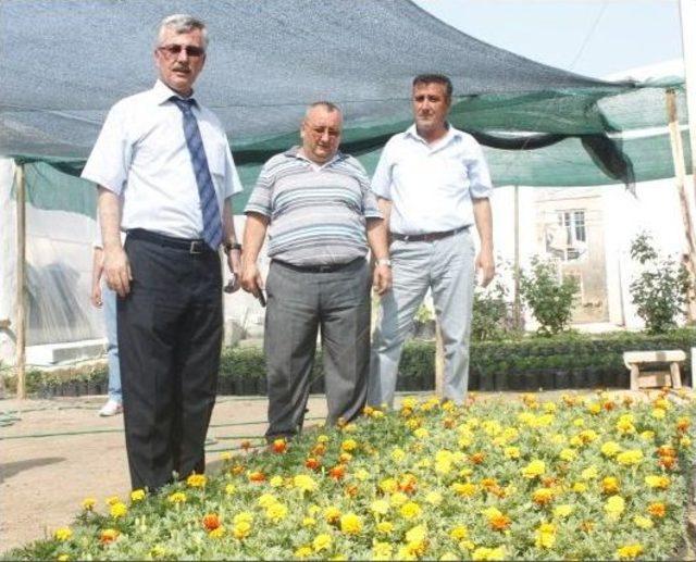 Başkan &Ccedil;ağlayan &Ccedil;alışmaları İnceledi 1