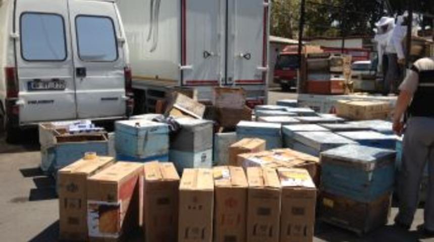 Arı Kovanından Bal Değil Ka&ccedil;ak Sigara &Ccedil;ıktı