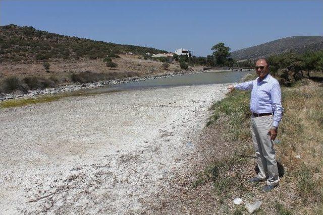 Zeytineli Köyü Çaydaki Kokudan Kurtulacak