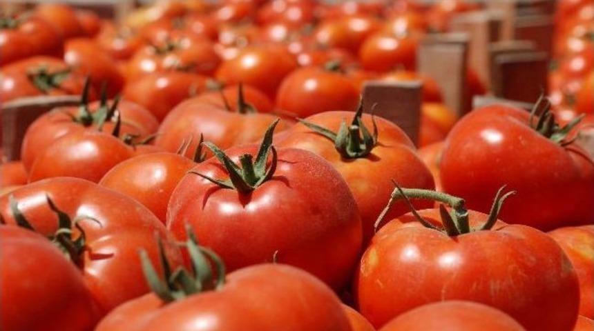 Domateste Taban Fiyat Beklentisi