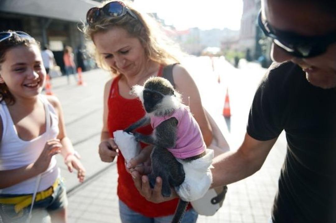 Metrodaki Maymun İlgi Odağı Oldu