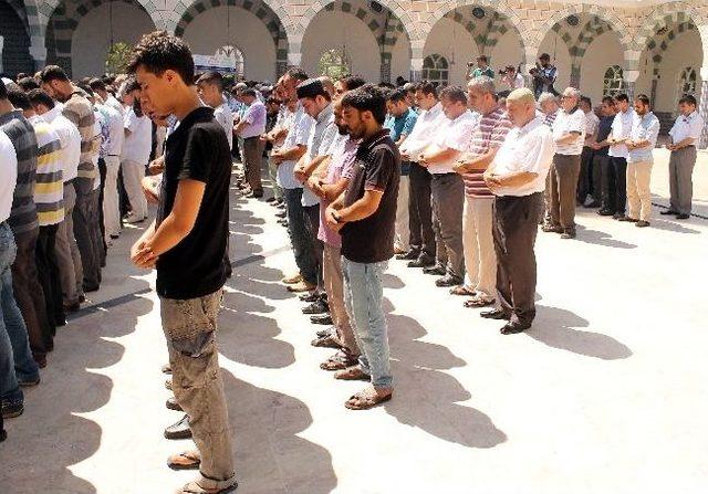 Mısır'da Ölenler İçin Gıyabi Cenaze Namazı Kılındı