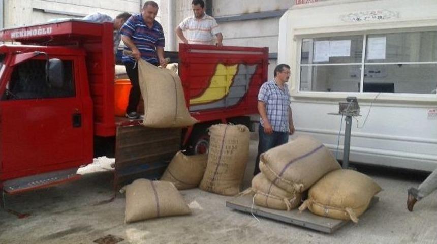 Lisanslı Depoya İlk Teslimat Ordu'dan