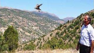 Giresun’da 500 Kınalı Keklik Doğaya Salındı.