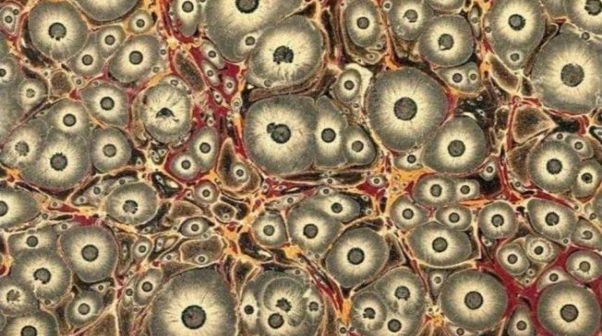 Kur'an Kursu &Ouml;ğrencilerinden Ebru Sergisi