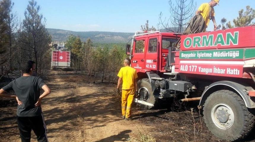 Konya'da Orman Yangını