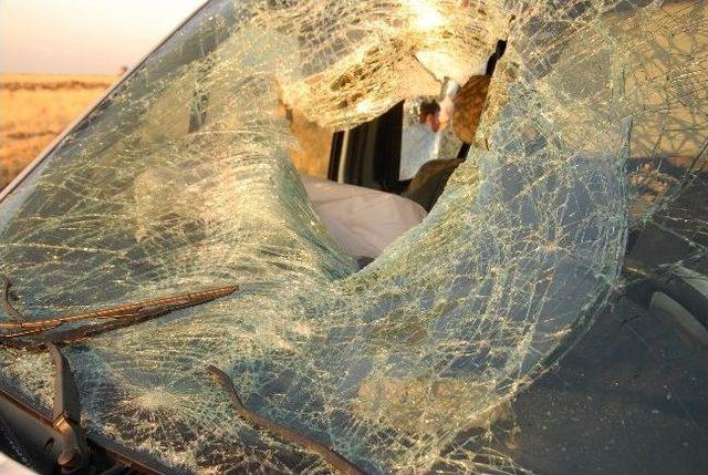 Otomobil iki bisiklete &ccedil;arptı: 2 &ouml;l&uuml; 1