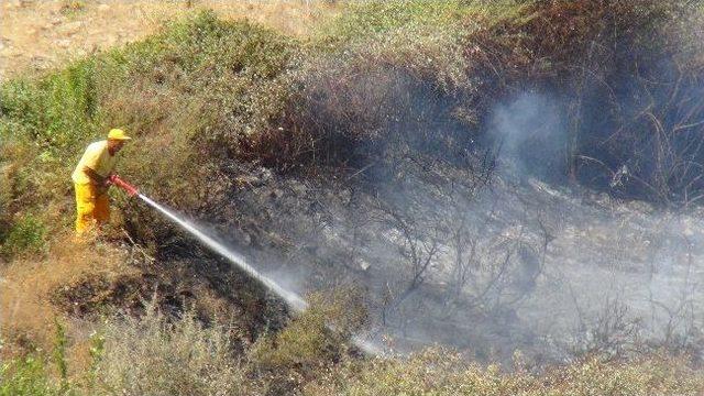 Antalya’da Tarım Arazisinde Yangın