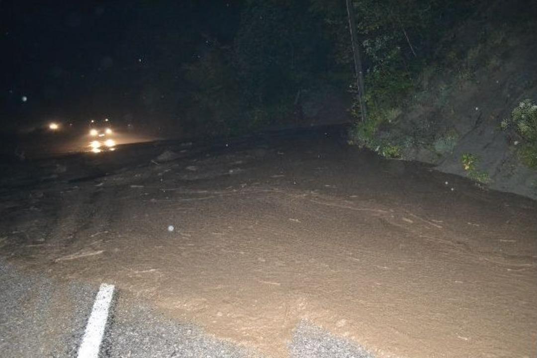 Ayvacık Sele Teslim