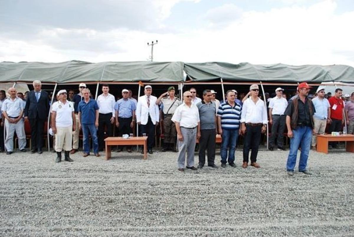 Tosya 16.k&uuml;lt&uuml;r Ve Pirin&ccedil; Festivalinde Rahvan Atları At Yarışı Yapıldı