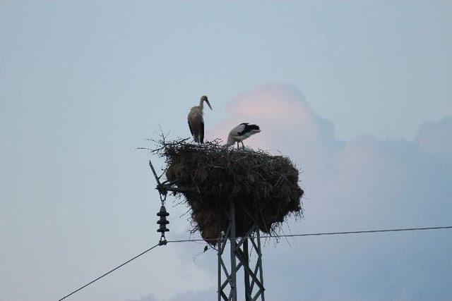 Leylekler Vadisi Sessizliğe Büründü