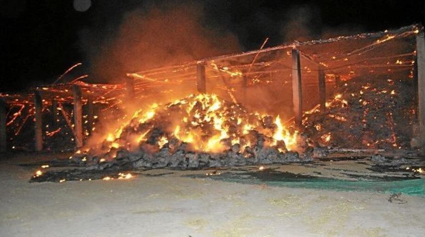 Tonlarca Saman K&uuml;l Oldu