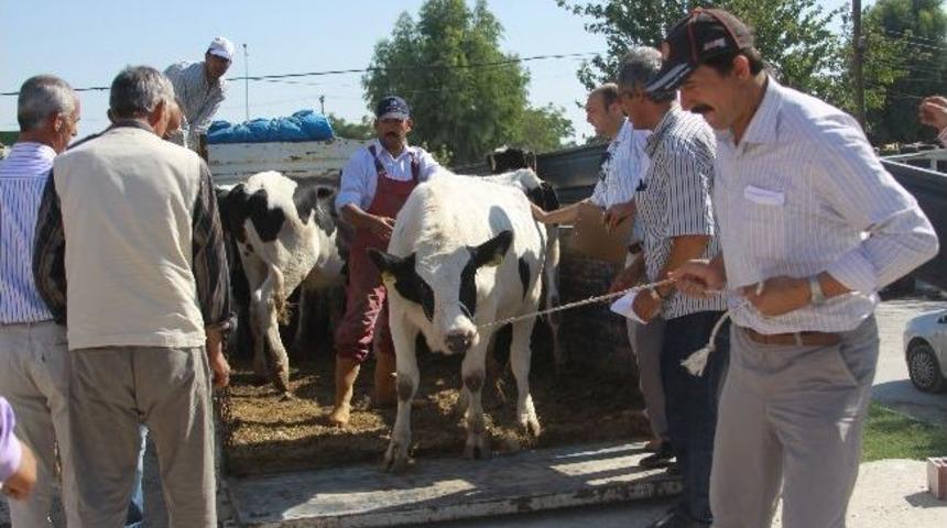 Nakliyecilere Yetki Ve Yeterlilik Belgesi Zorunluluğu
