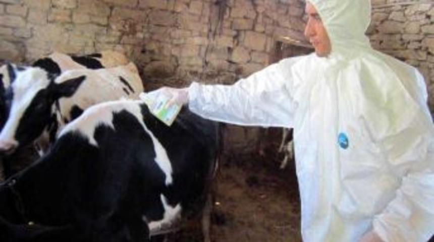 K&ouml;yl&uuml;lere Kene Uyarısı