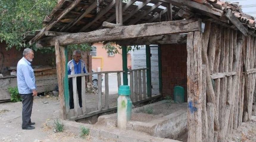 Sahipsiz Kalan Mezar İlgi Bekliyor