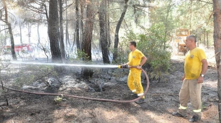 Manisa'da Orman Yangını