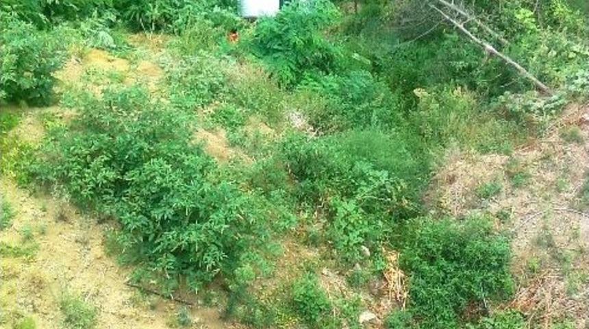 Trabzon'da Trafik Kazası: 18 Yaralı