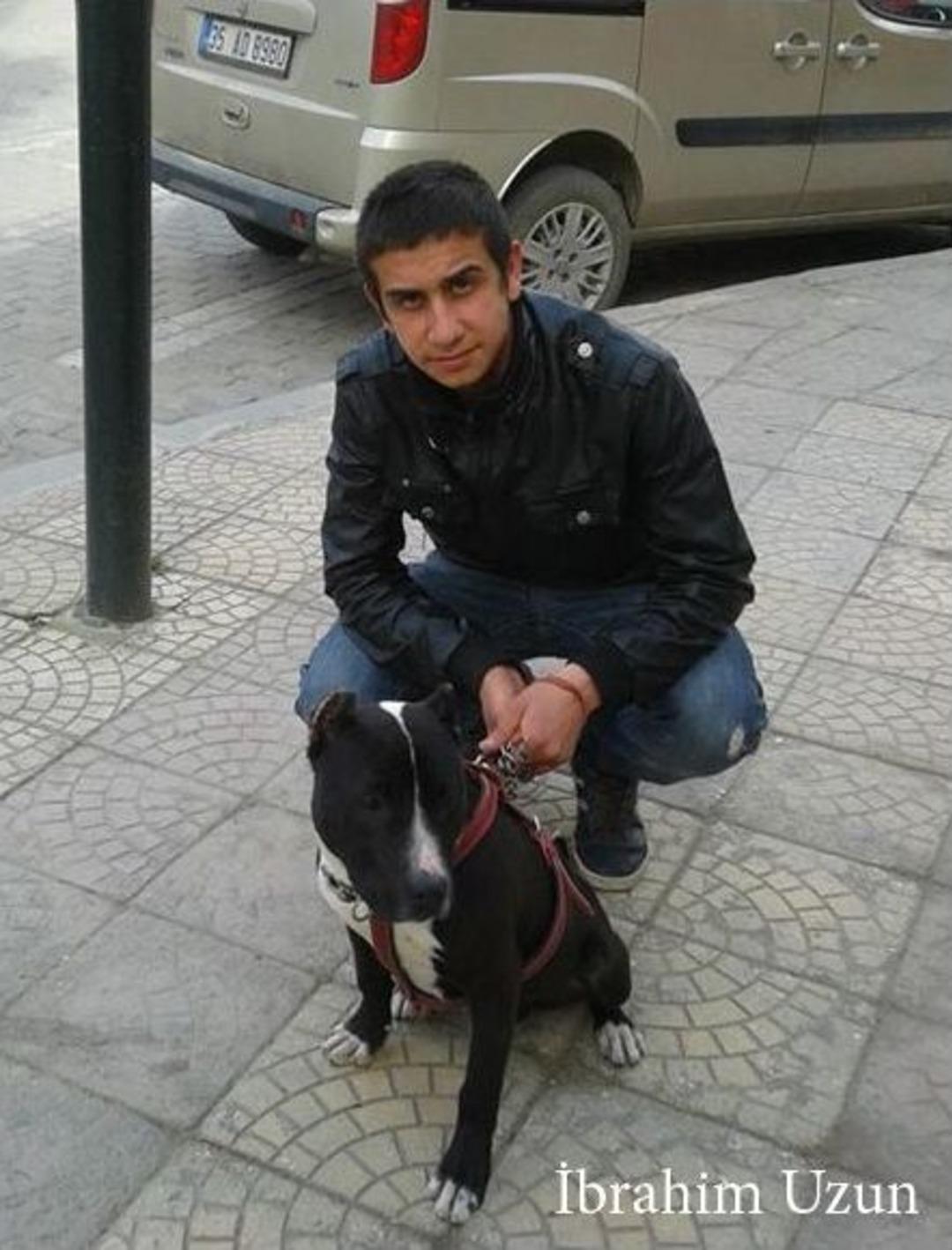 İki arkadaşı kaza ayırdı