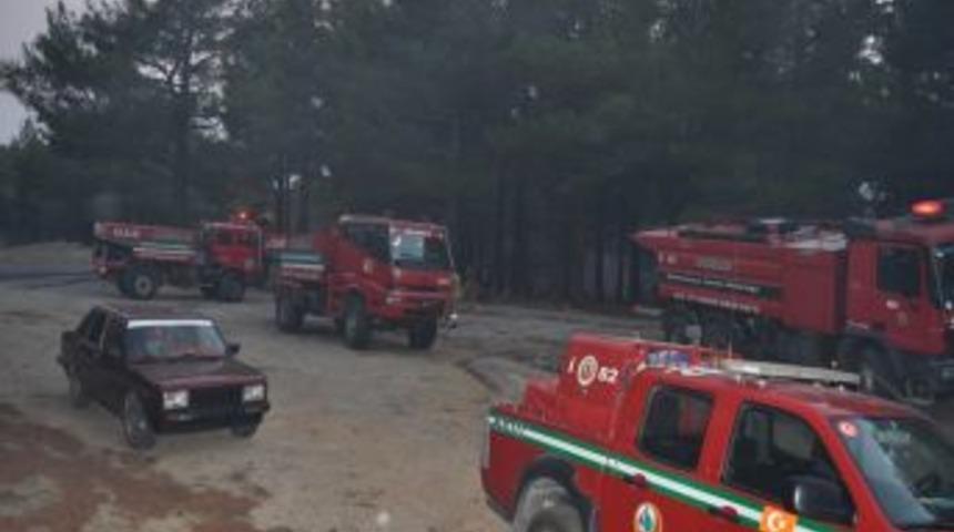 Balıkesir'de Piknik Ateşi Orman Yaktı