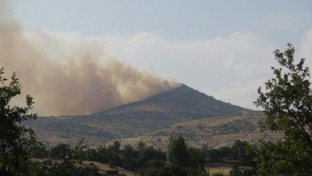 Orman Yangın Ekibinin Imdadına Yağmur Yetişti