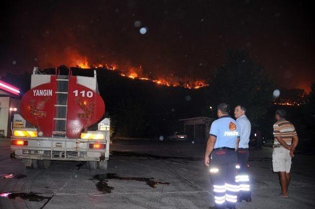 Muğla’da orman yangını