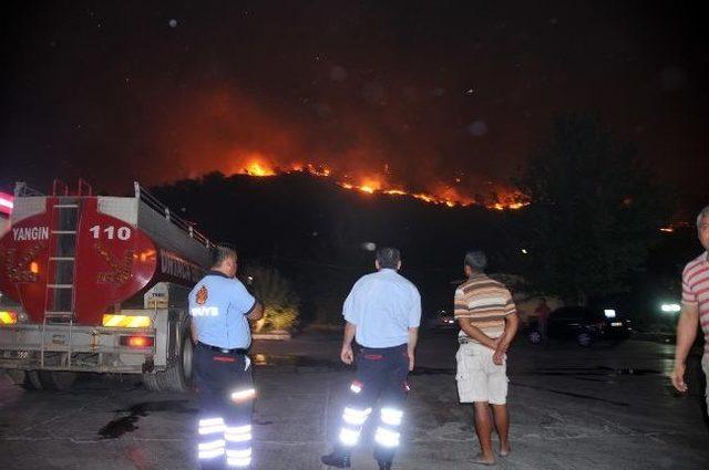 Muğla’da orman yangını