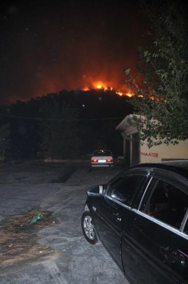 Muğla’da orman yangını