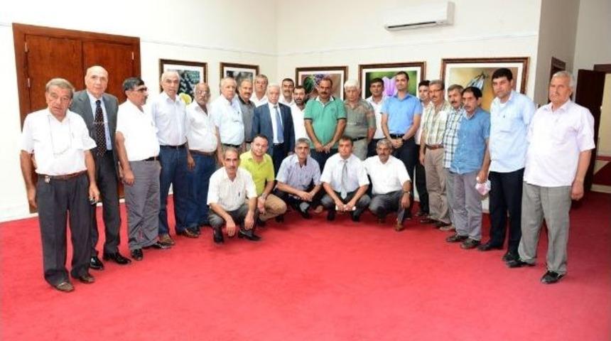 Aldırmaz: "g&uuml;ney Adana Daha &Ccedil;ok Hizmet Alacak"