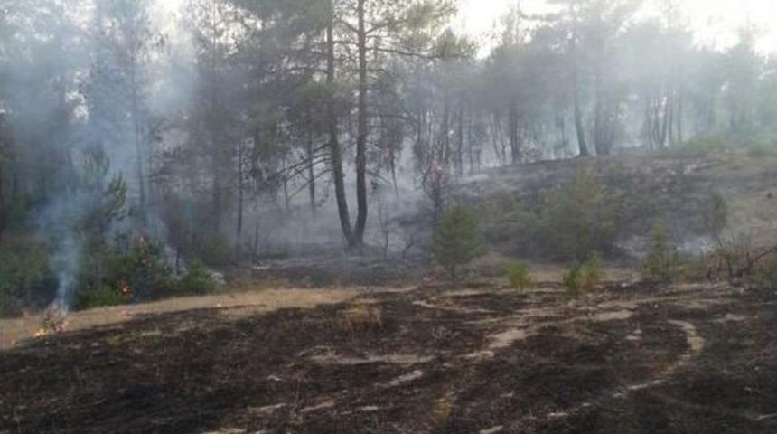 Orhaneli Ve B&uuml;y&uuml;korhan'daki Yangınlarda 4 D&ouml;n&uuml;m Ormanlık Alan Zarar G&ouml;rd&uuml;
