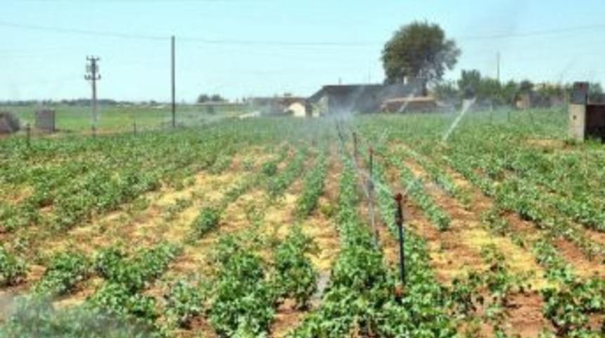 &Ccedil;ift&ccedil;iler Modern Sulamayla İş&ccedil;i &Ccedil;alıştırmaktan Kurtuldu