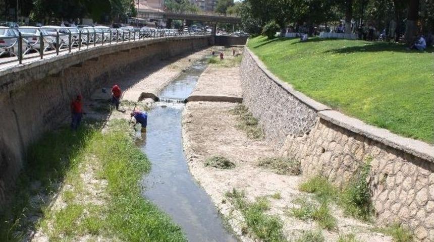 Alleben Deresi Temizleniyor