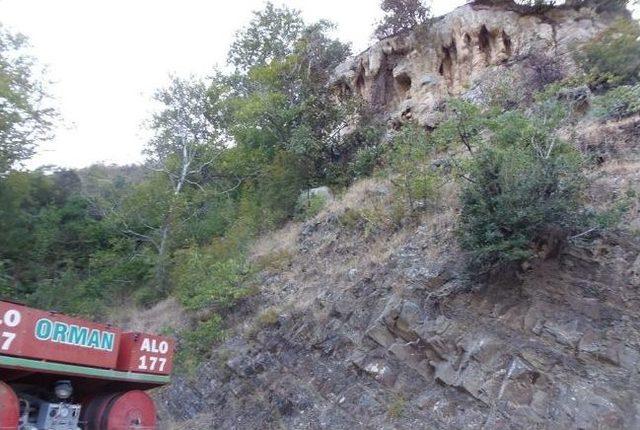 Tekirdağ’da Orman Yangını