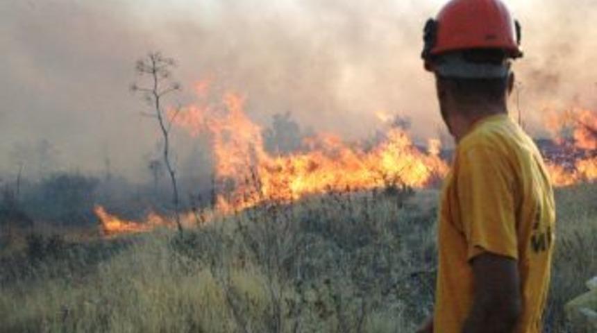 Bodrum Ortakent Beldesindeki Yangın Yayılıyor