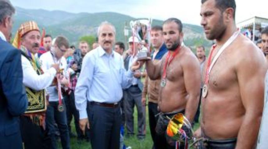 Tosya Yağlı G&uuml;reşlerinde Fatih Atlı Bu Sene De Başpehlivan