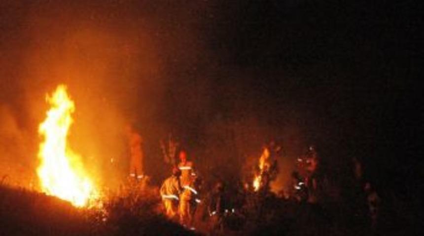 Bodrum'da Orman Yangını