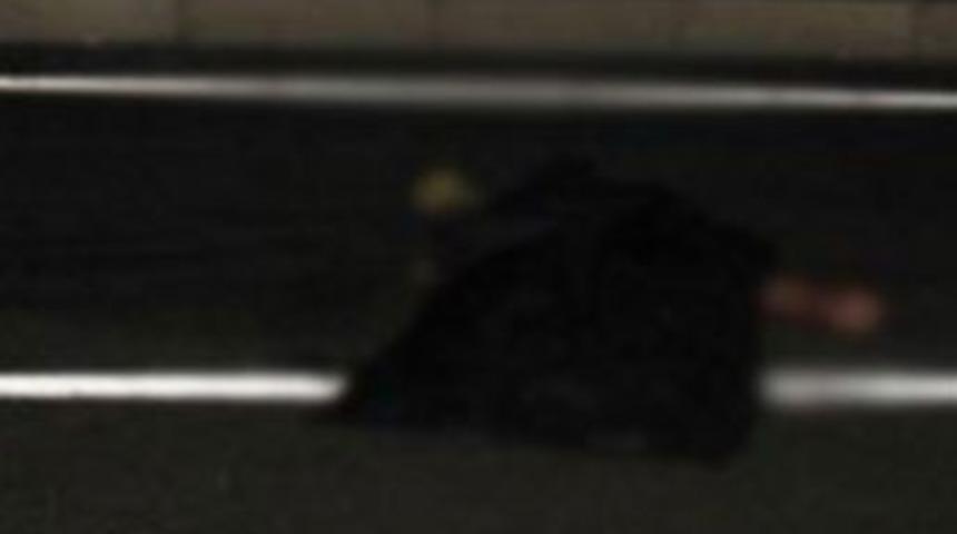 İki arkadaşın hazin sonu