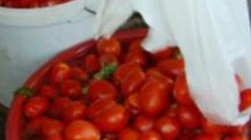 Sal&ccedil;a yaparken vuruldu