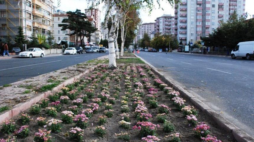 Melikgazi Belediyesi 25 Bin Meyve Fidanı Dağıtacak