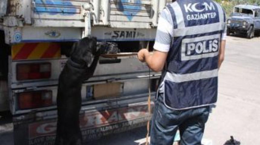 Koyun Y&uuml;kl&uuml; Kamyonda 51 Bin 970 Paket Ka&ccedil;ak Sigara Ele Ge&ccedil;irildi
