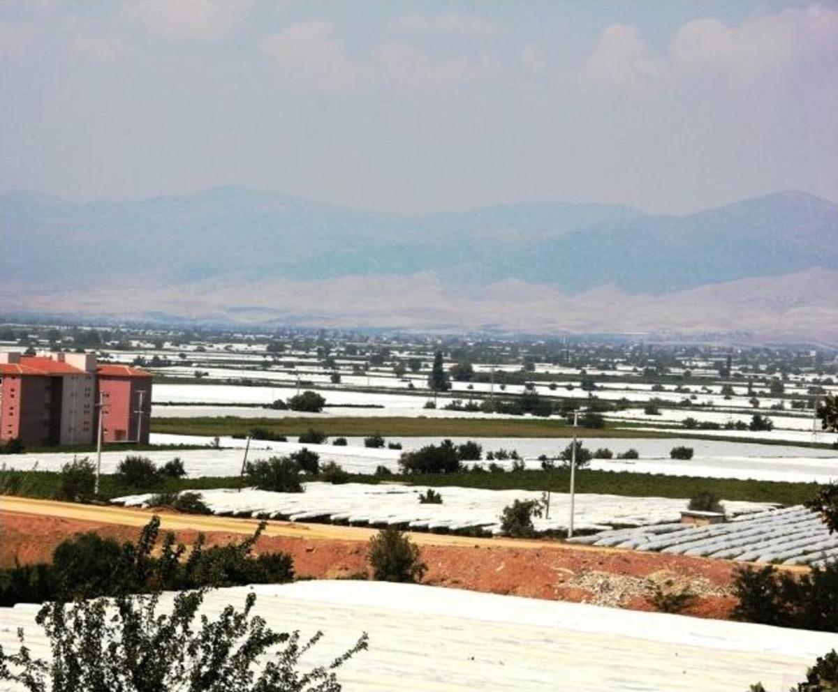 Sultaniye Bağları, Beyaza B&uuml;r&uuml;nd&uuml;