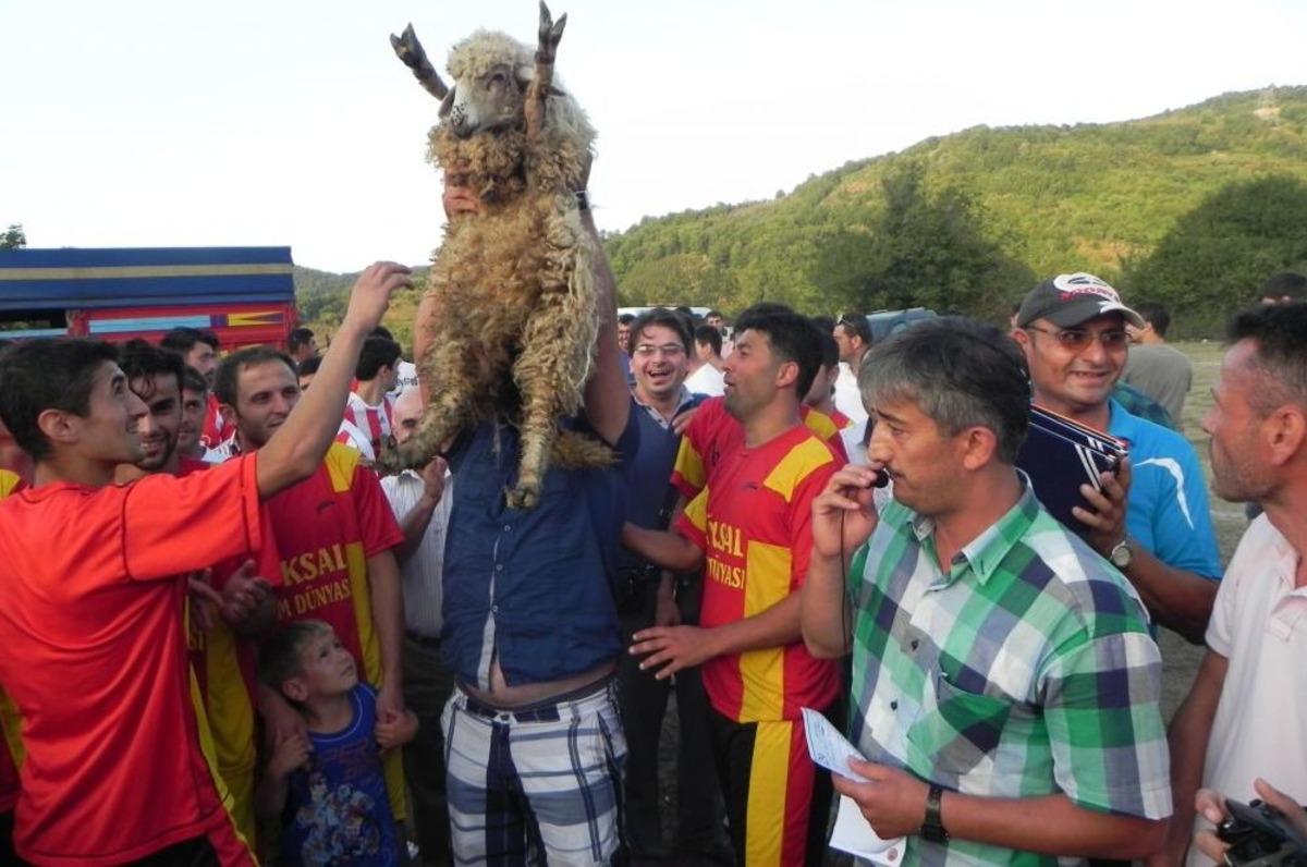Koyun Ko&ccedil; Ve Ke&ccedil;i &Ouml;d&uuml;ll&uuml; Turnuva