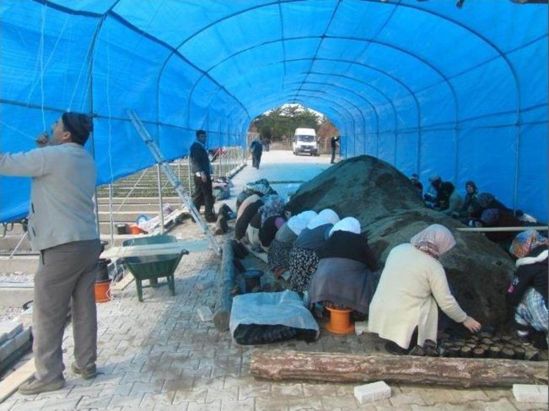 K&uuml;tahya'da 'alım Garantili' Fidan &Uuml;retimi