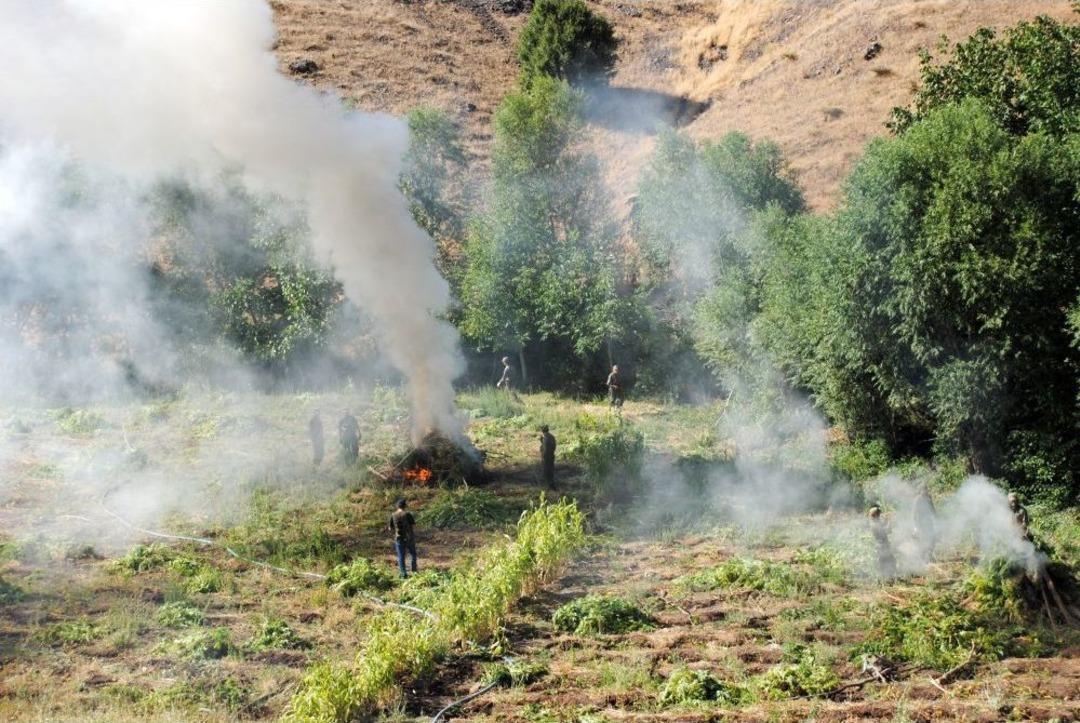 Bing&ouml;l'de 30 Milyon Liralık Uyuşturucu Ele Ge&ccedil;irildi